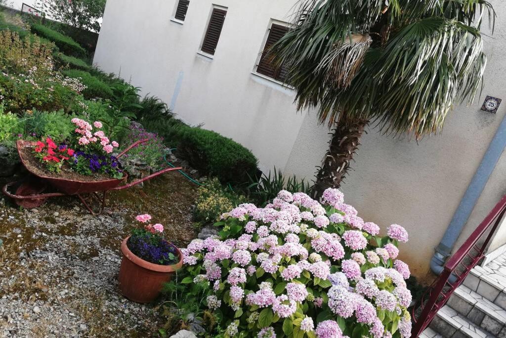 Spacious 2-Room Apartment With Beautiful Sea View Crikvenica Extérieur photo